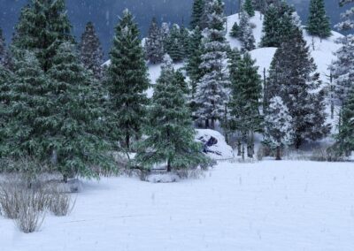 Rendering Paesaggi Montagna Innevati